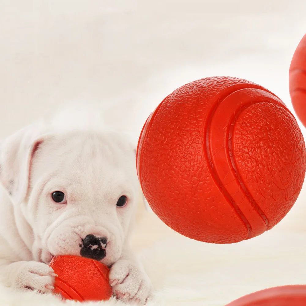 Durable Rubber Dog Ball Toy – Chew-Resistant Play Ball