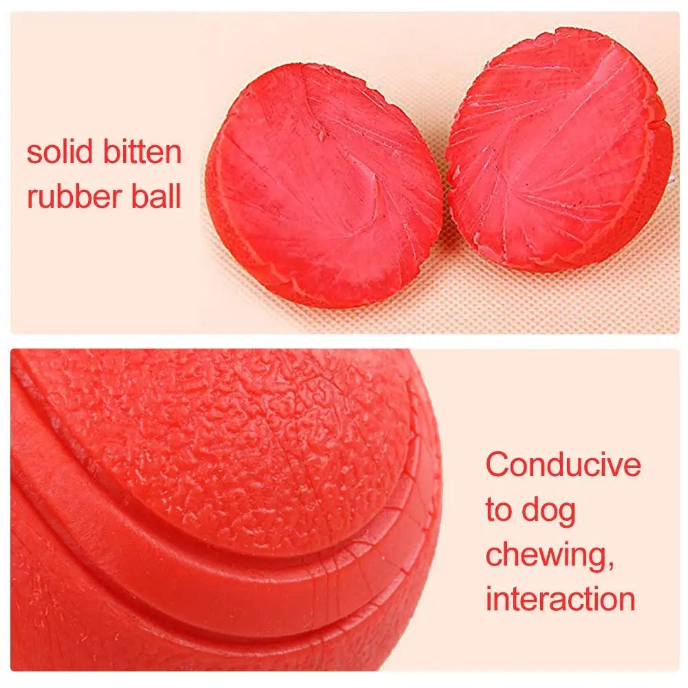 Durable Rubber Dog Ball Toy – Chew-Resistant Play Ball