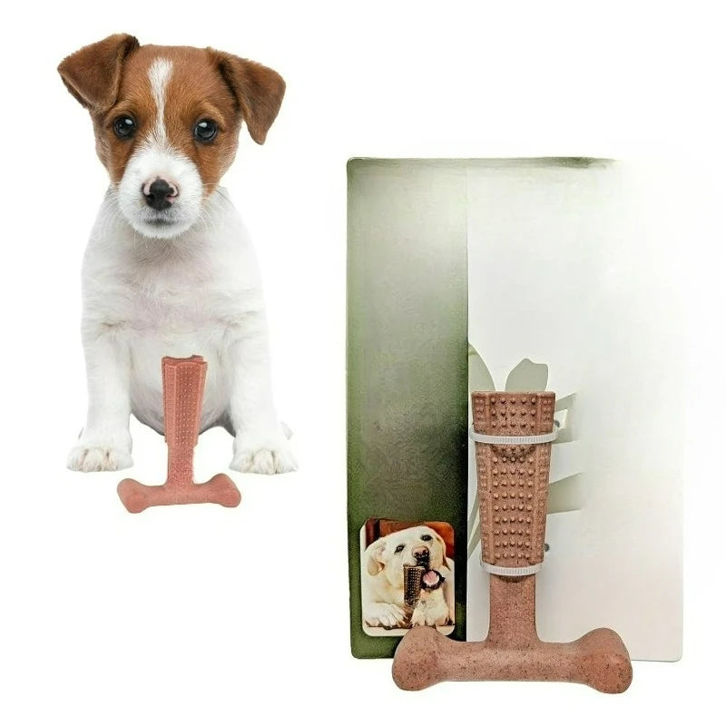 T-Bone Dog Chew Toy – Durable Beef-Flavored Nylon Bone
