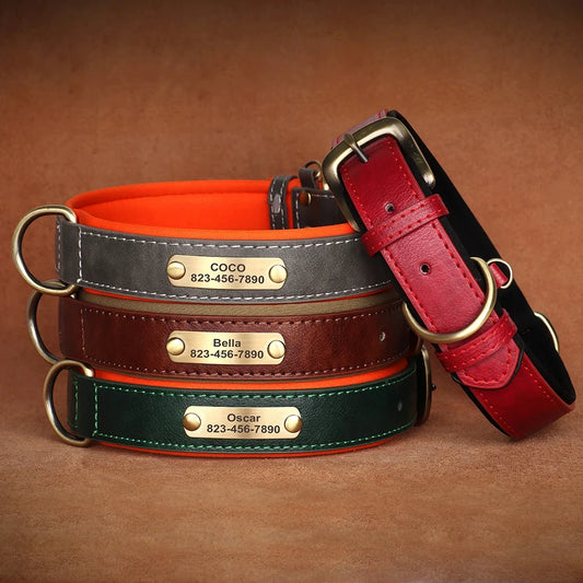 Personalized Leather Dog Collar With Engraved ID Plate