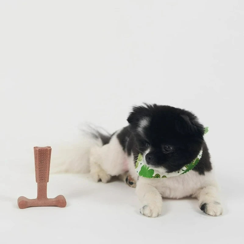 T-Bone Dog Chew Toy – Durable Beef-Flavored Nylon Bone