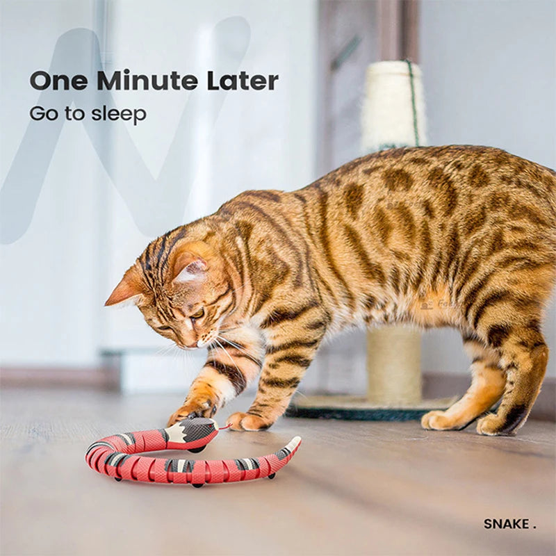 Interactive USB Charging Snake Toy For Cats