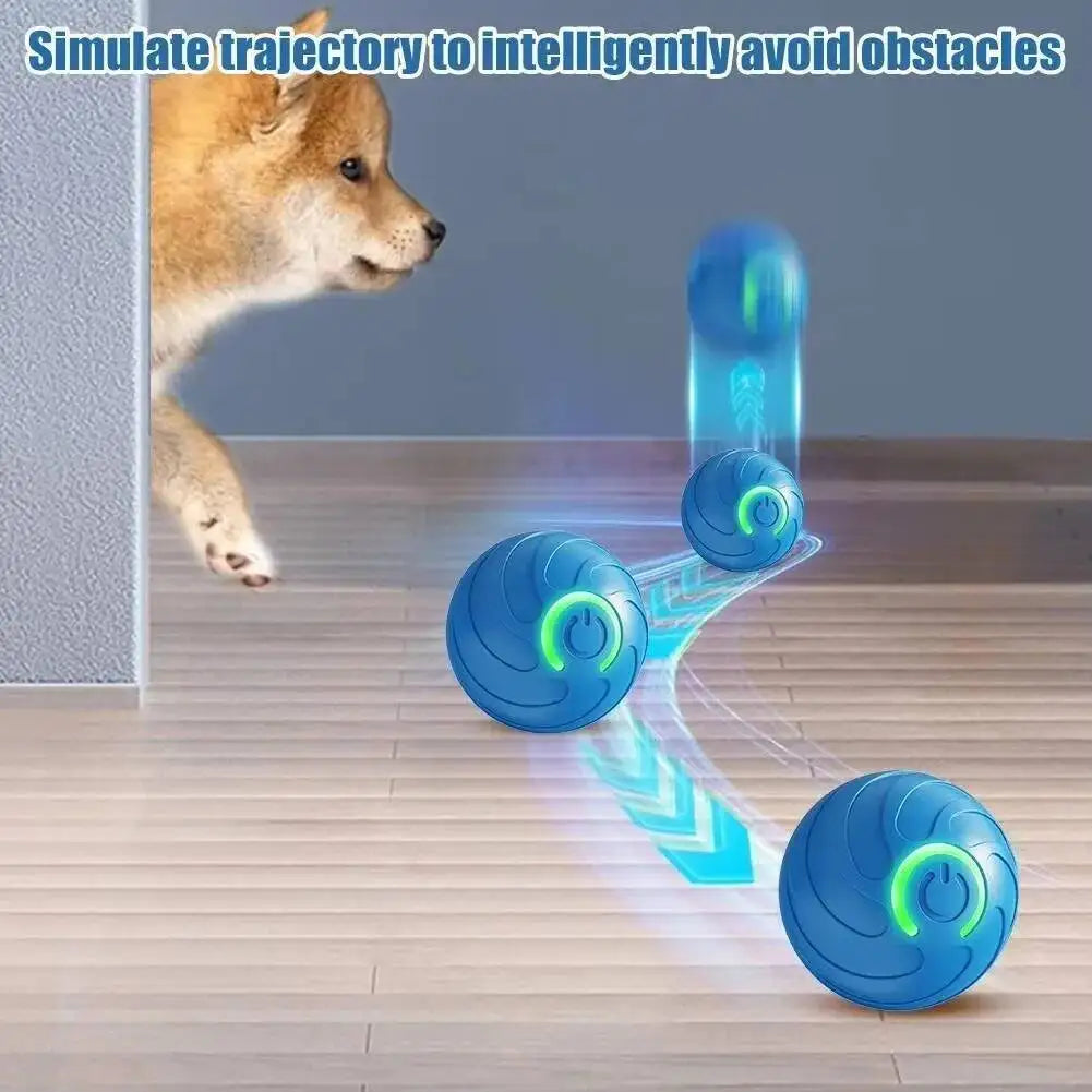 Interactive USB Rechargeable Pet Ball Toy for Dogs and Cats