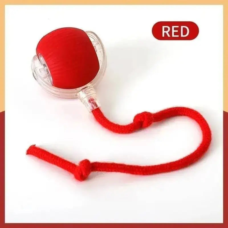 Style E Red Color Interactive USB Rechargeable Pet Ball Toy for Dogs and Cats