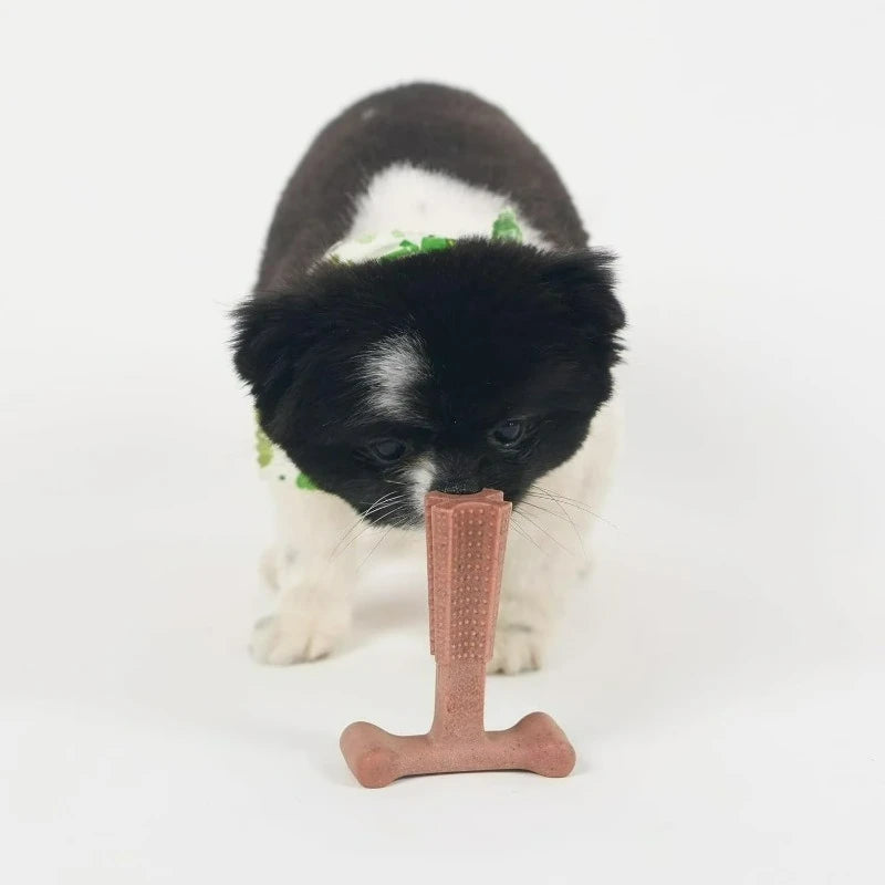 T-Bone Dog Chew Toy – Durable Beef-Flavored Nylon Bone