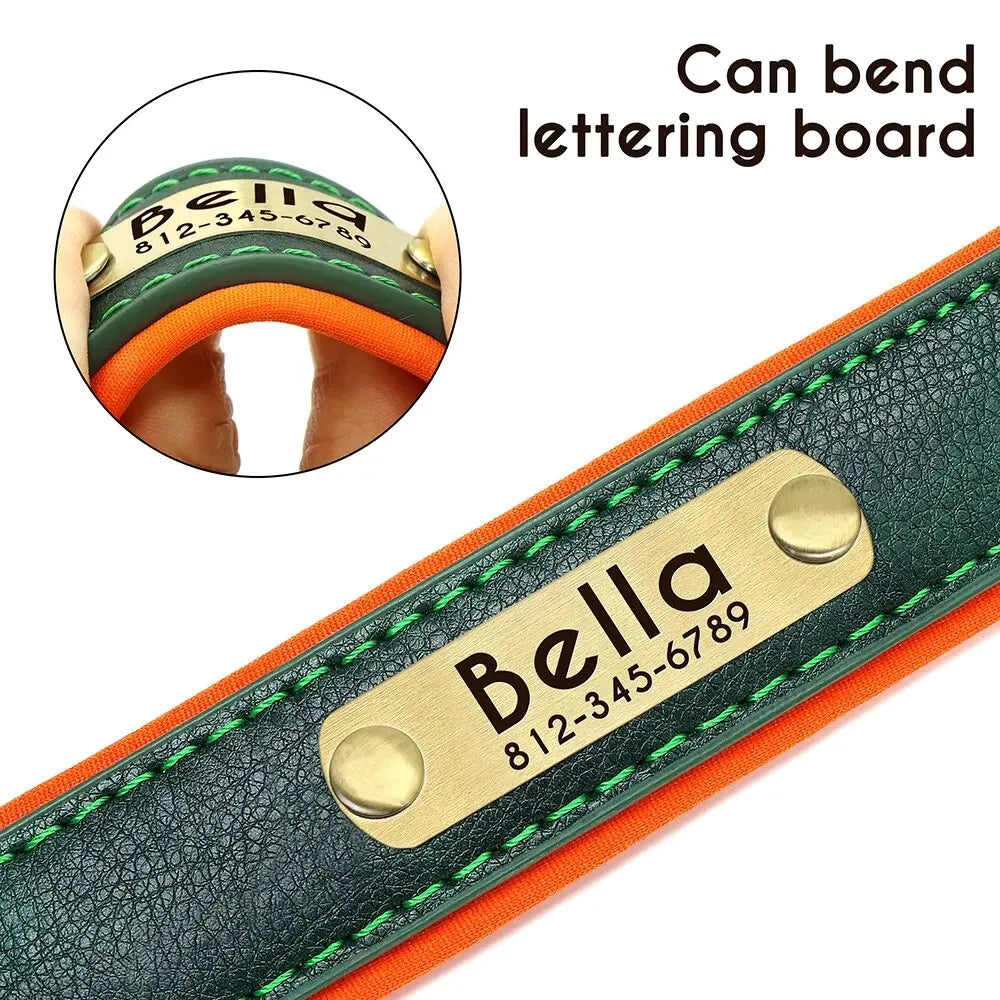 Personalized Leather Dog Collar With Engraved ID Plate