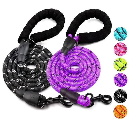 Reflective Nylon Dog Leash – Strong Lead For All Sizes