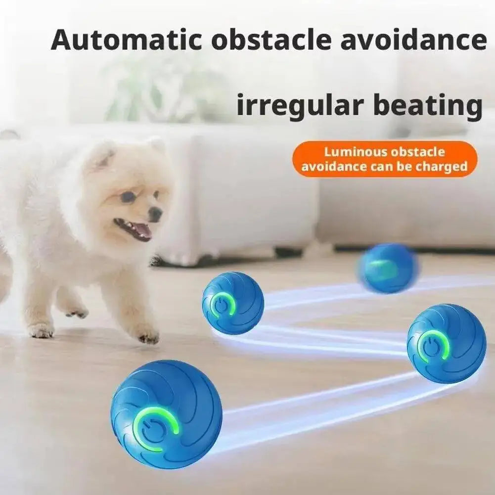 Interactive USB Rechargeable Pet Ball Toy for Dogs and Cats