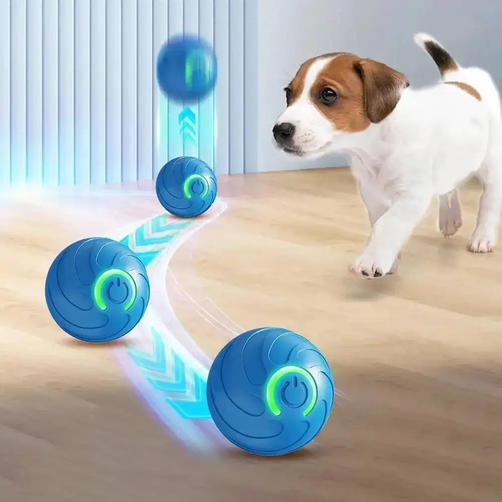 Interactive USB Rechargeable Pet Ball Toy for Dogs and Cats