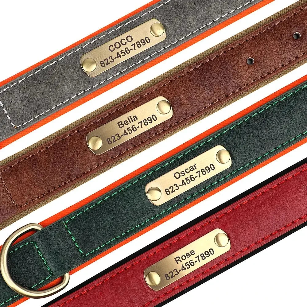 Personalized Leather Dog Collar With Engraved ID Plate