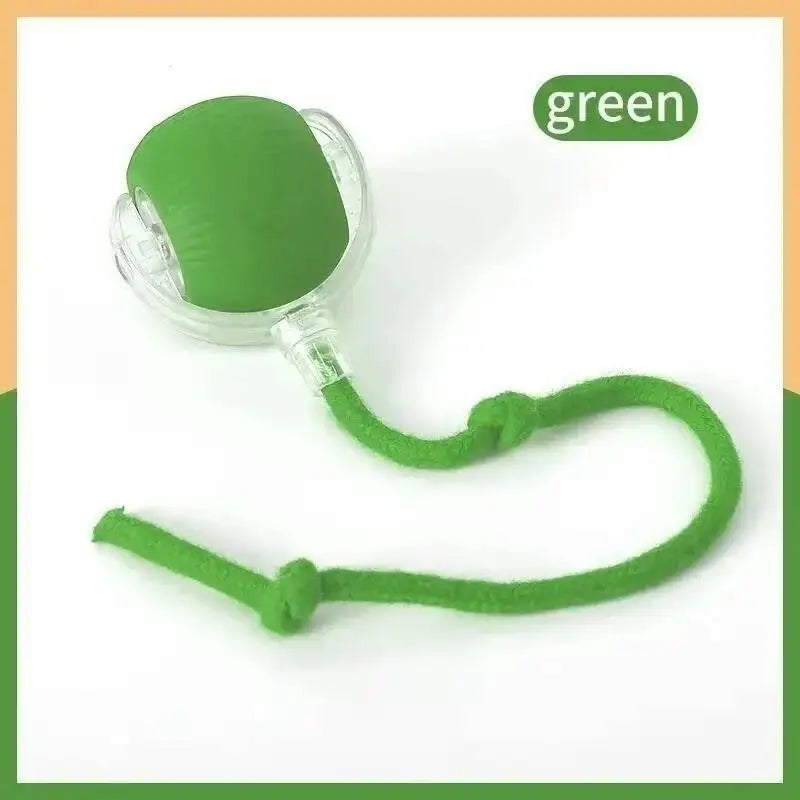 Style E Green Color Interactive USB Rechargeable Pet Ball Toy for Dogs and Cats
