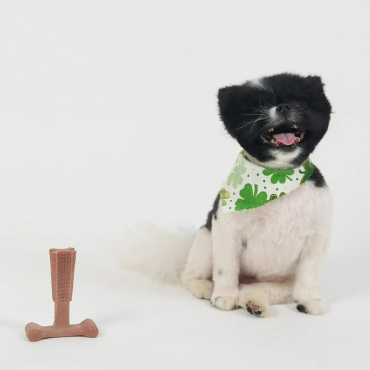 T-Bone Dog Chew Toy – Durable Beef-Flavored Nylon Bone