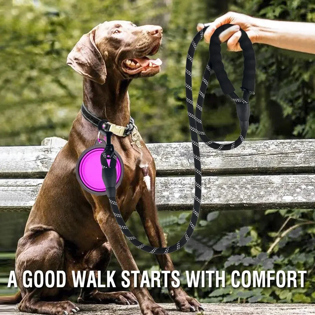 Reflective Nylon Dog Leash – Strong Lead For All Sizes